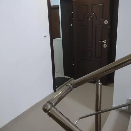 Okolchitsa - Stylish And Cozy *